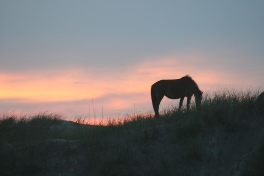 Obx Family Home With Pool - Pet Friendly - Close To Beach- Pool Open Late Apr Through Oct Corolla Extérieur photo